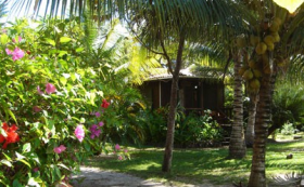 Garden in Placencia, Belize, Captain Jak's – Best Places In The World To Retire – International Living